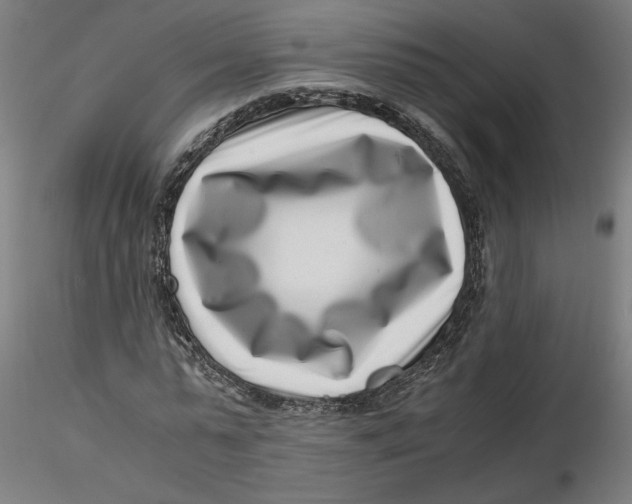 X0000116760775201001071154