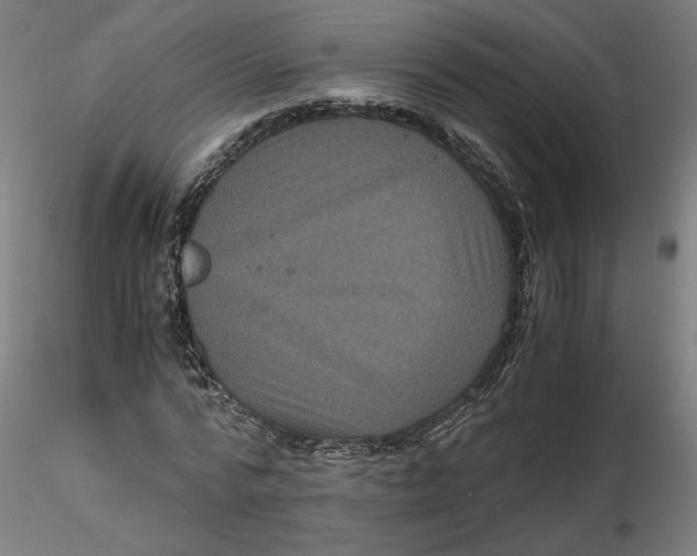 X0000116760776201001071154