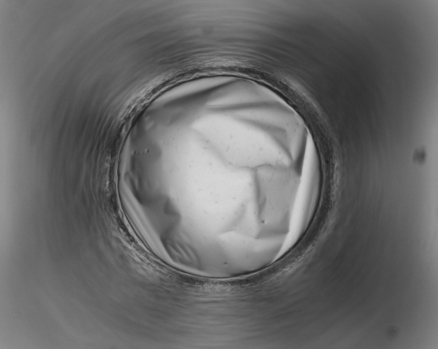 X0000116760777201001071154