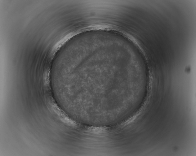 X0000116760778201001071154