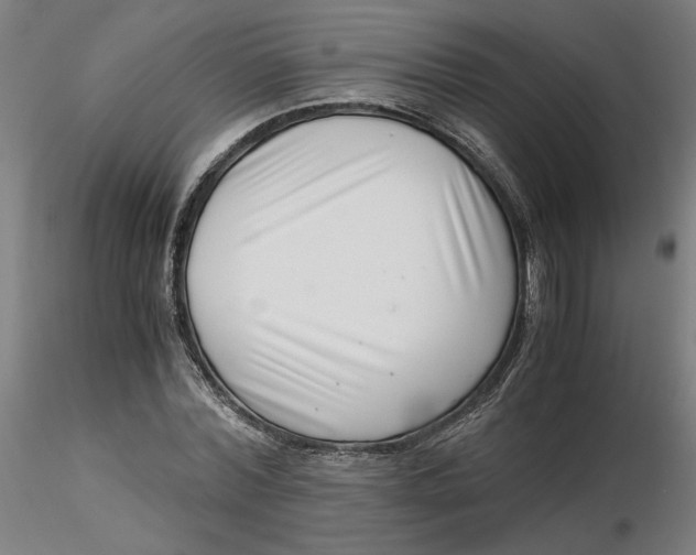 X0000116760780201001071154