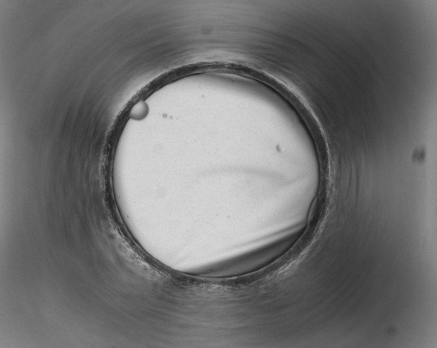 X0000116760783201001071154