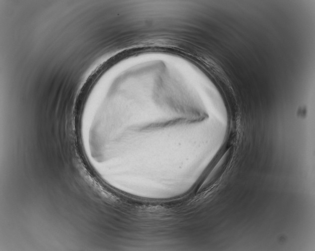 X0000116760784201001071154