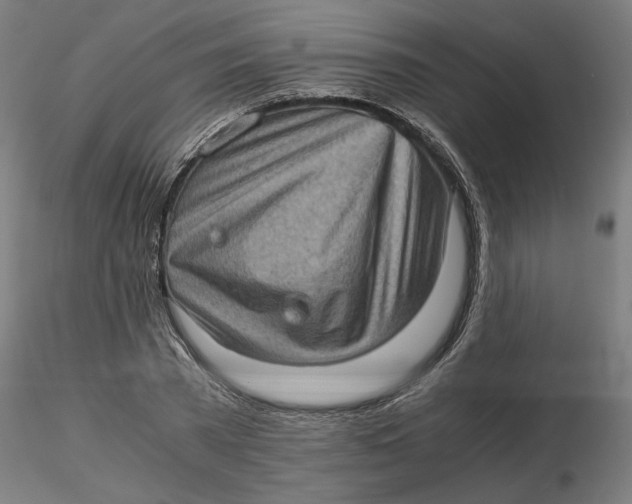 X0000116760785201001071154