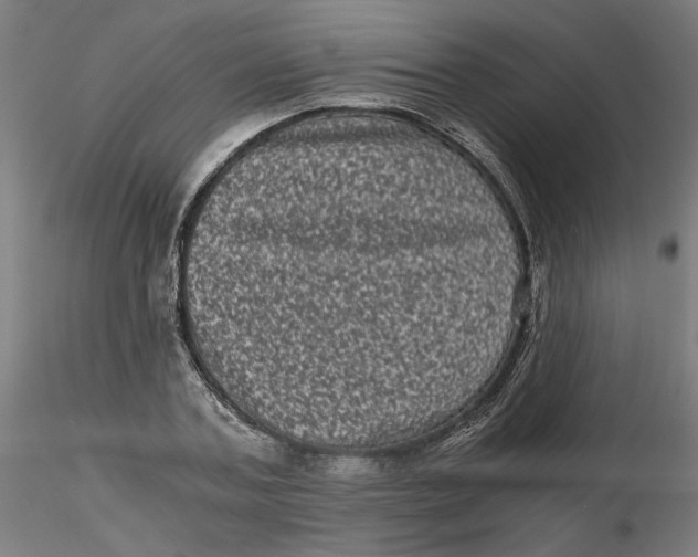 X0000116760787201001071154