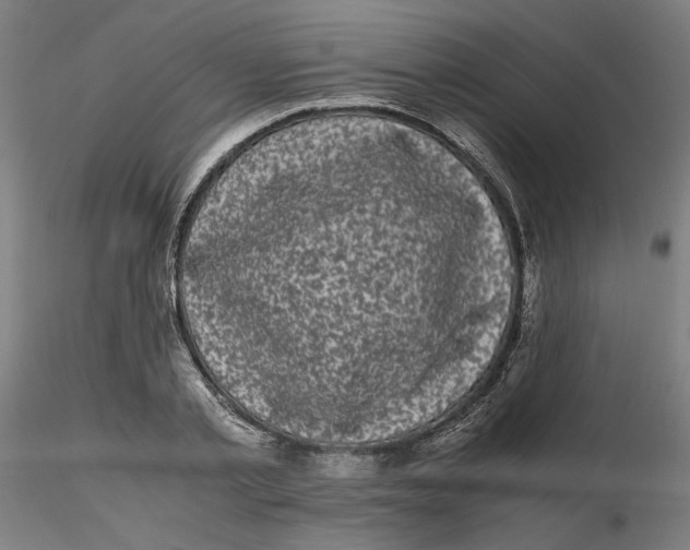 X0000116760789201001071154