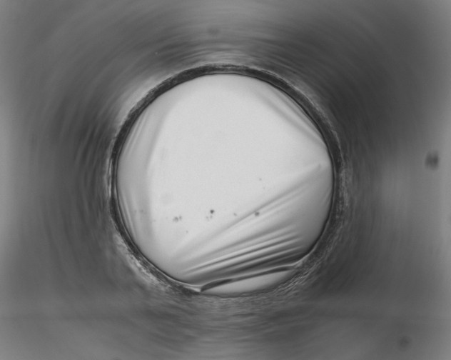 X0000116760791201001071154