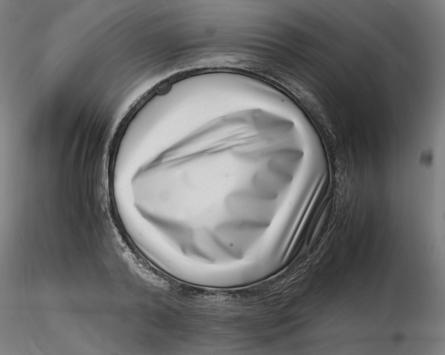 X0000116760792201001071154