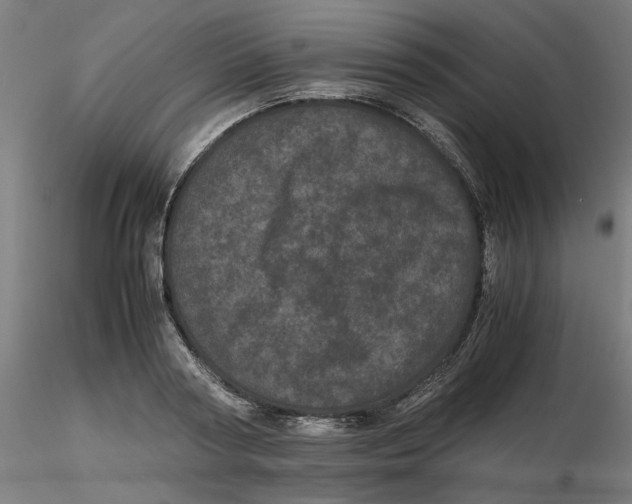 X0000116760794201001071154