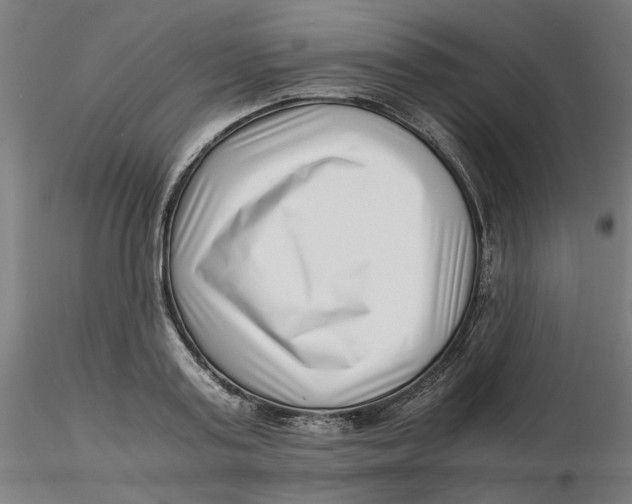 X0000116760795201001071154