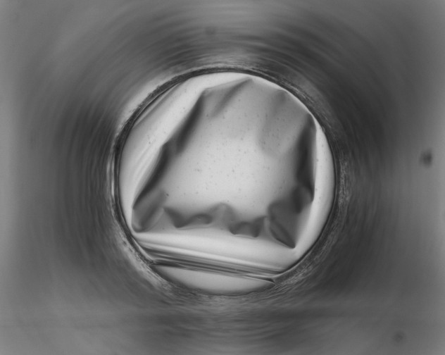 X0000116760796201001071154