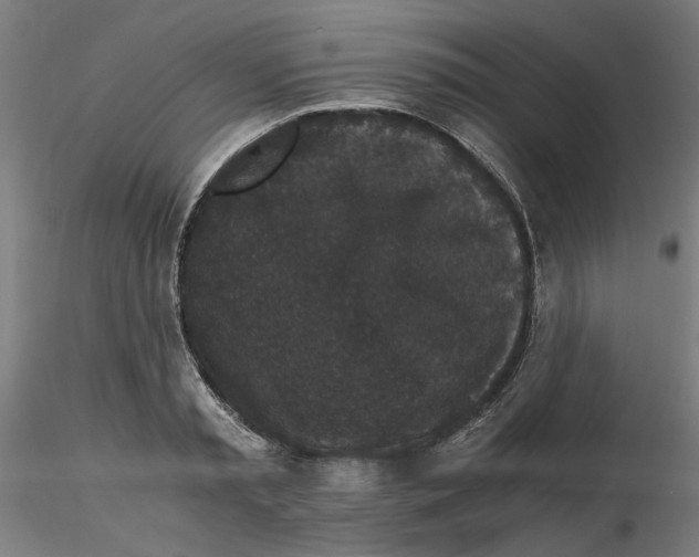 X0000116760797201001071154