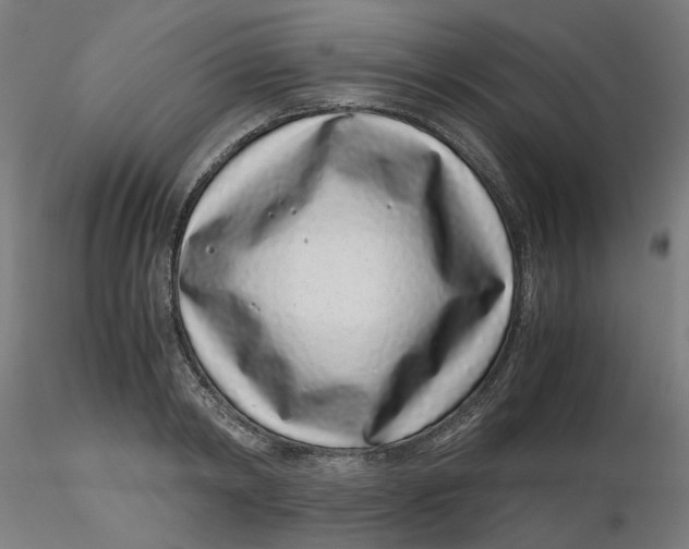 X0000116760798201001071154