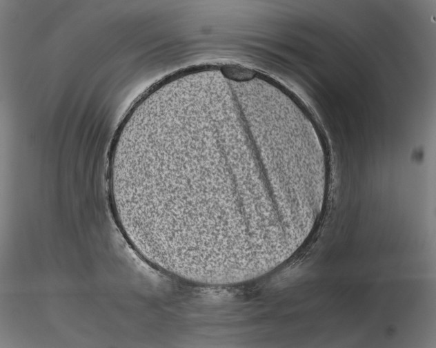 X0000116760799201001071154