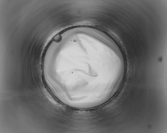 X0000116760800201001071154