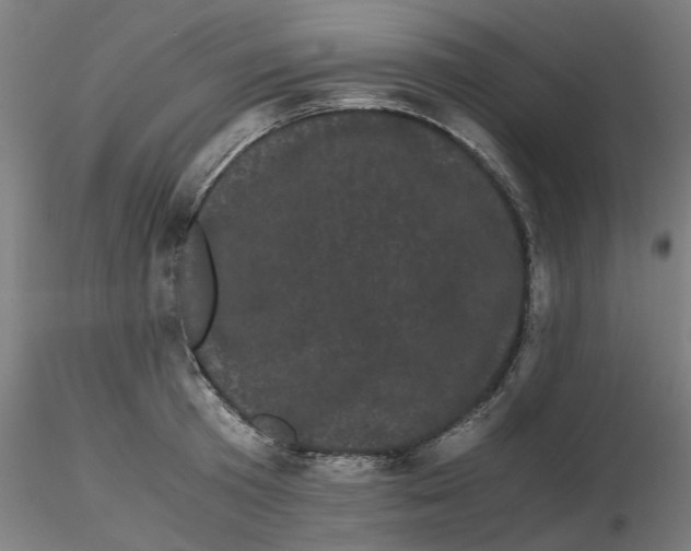 X0000116760801201001071154