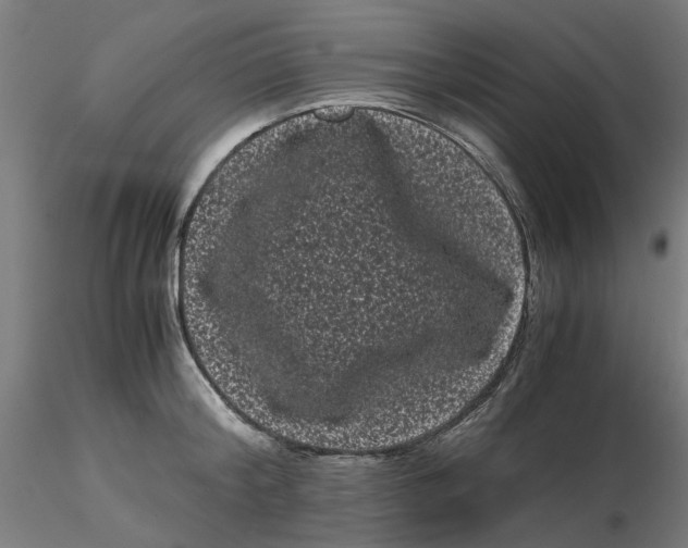 X0000116760804201001071154