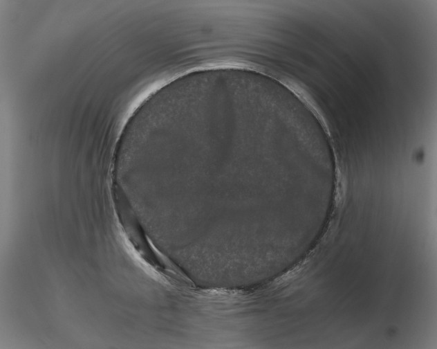 X0000116760805201001071154