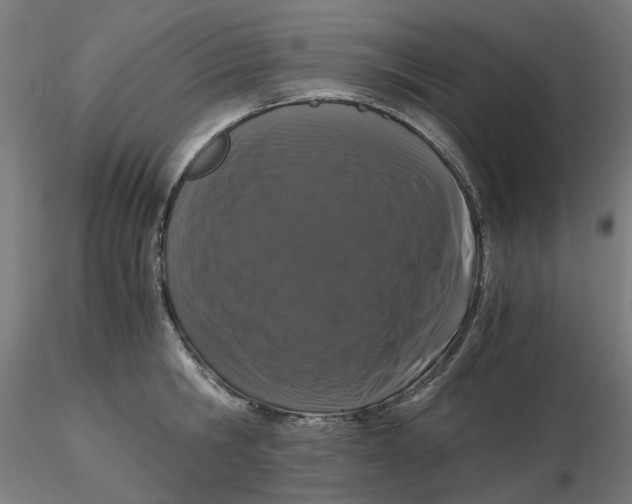 X0000116760806201001071154