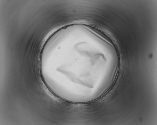 X0000116760808201001071154