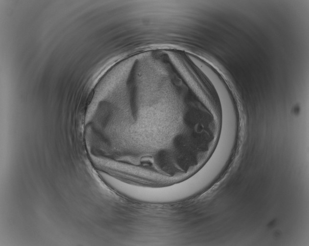 X0000116760809201001071154