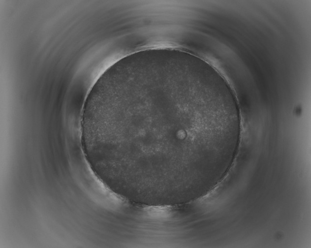 X0000116760810201001071154