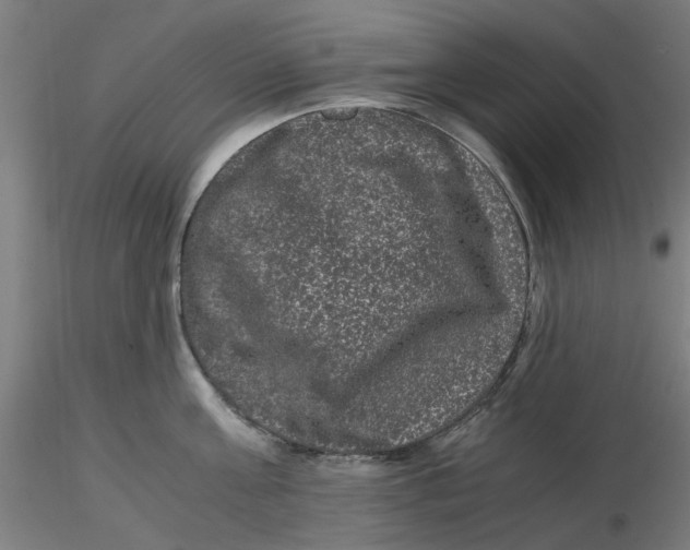 X0000116760811201001071154