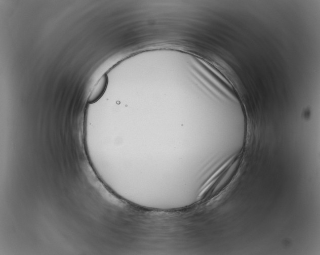 X0000116760812201001071154