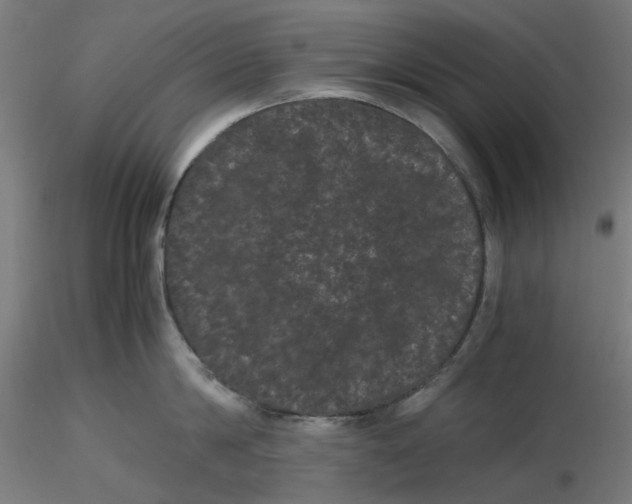 X0000116760814201001071154