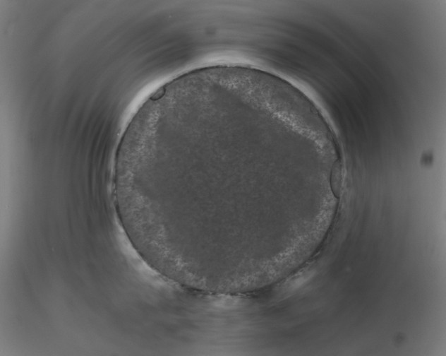 X0000116760815201001071154