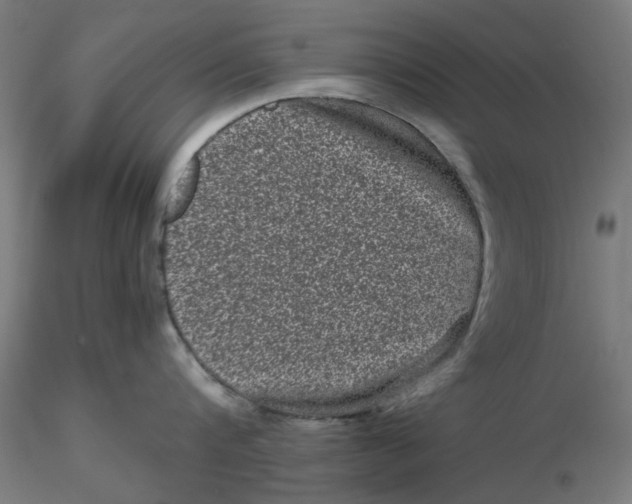 X0000116760816201001071154