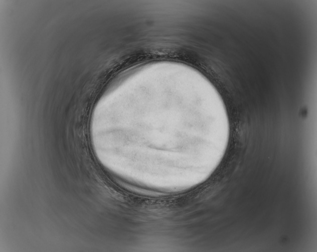 X0000116760817201001071153