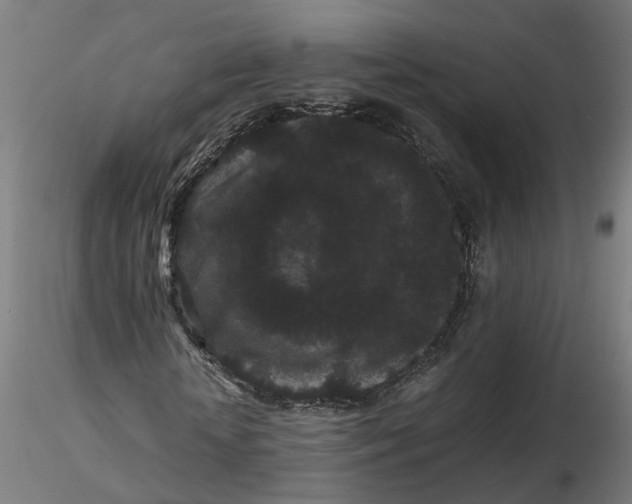 X0000116760818201001071153