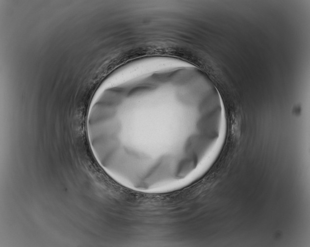 X0000116760819201001071153