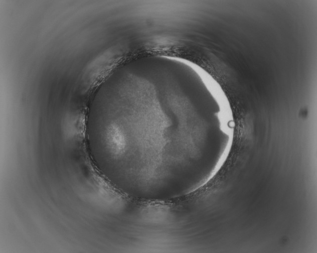 X0000116760820201001071153