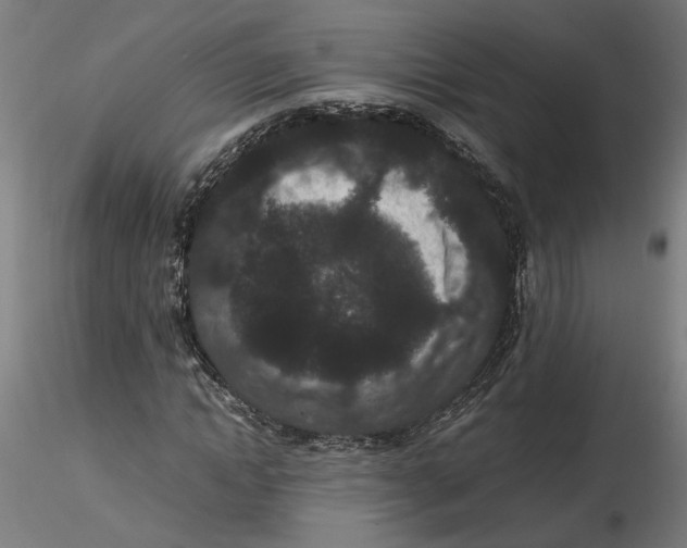 X0000116760822201001071153