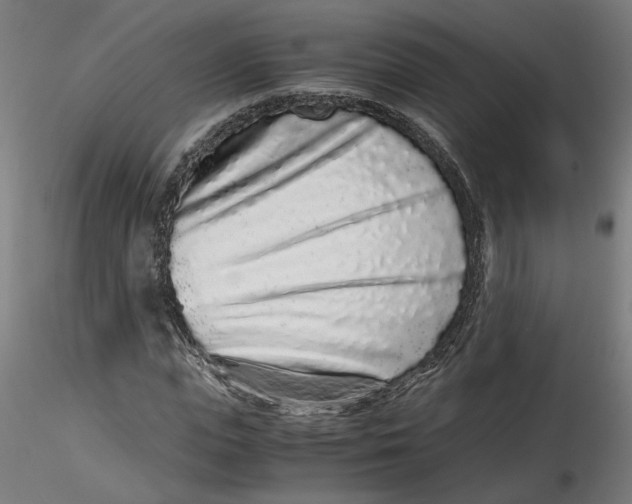 X0000116760823201001071153