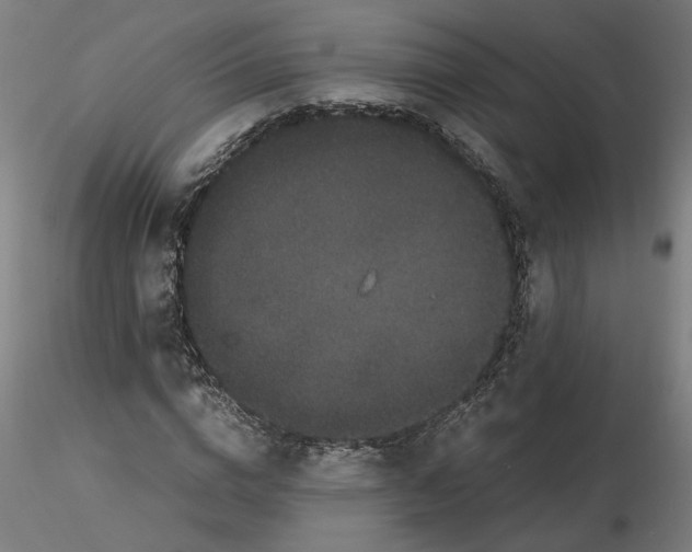 X0000116760824201001071153