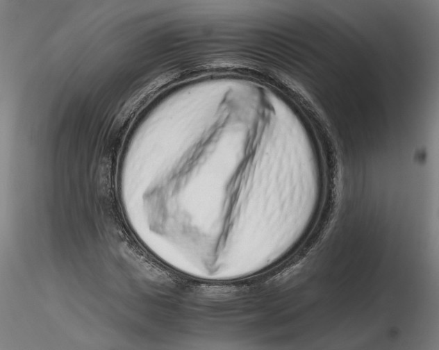 X0000116760825201001071153