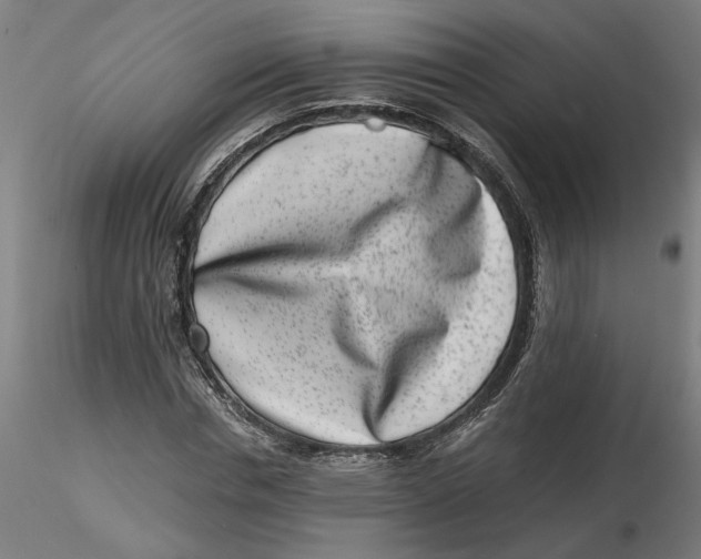 X0000116760826201001071153