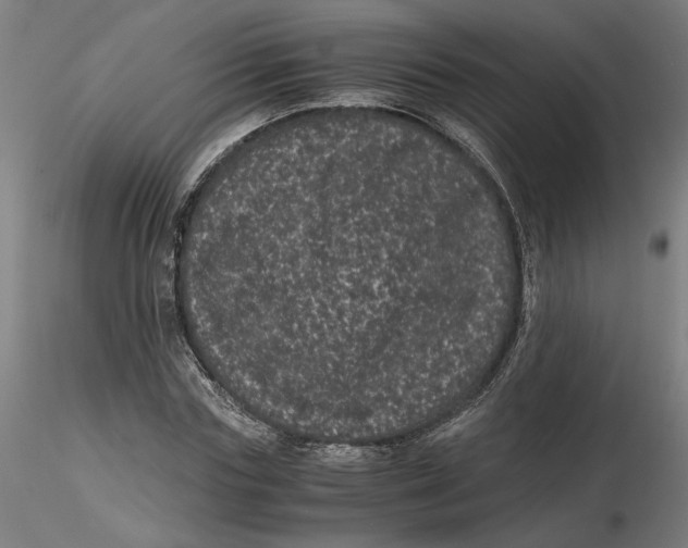 X0000116760827201001071153