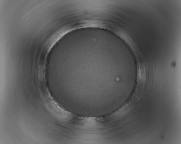 X0000116760828201001071153