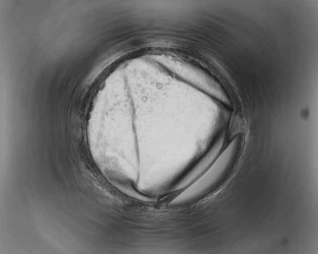 X0000116760829201001071153