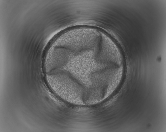 X0000116760830201001071153