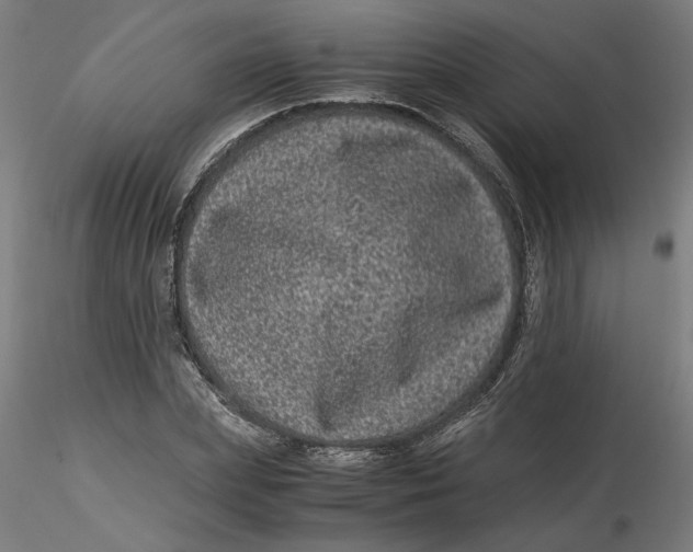 X0000116760831201001071153