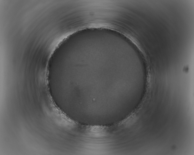 X0000116760832201001071153