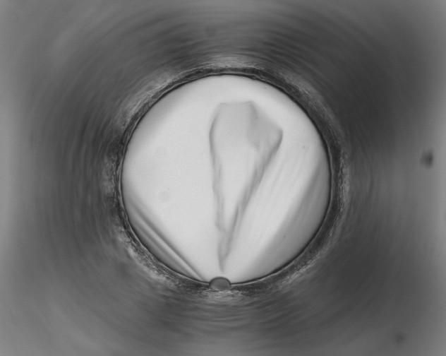 X0000116760833201001071153