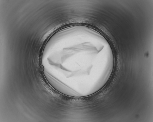 X0000116760834201001071153