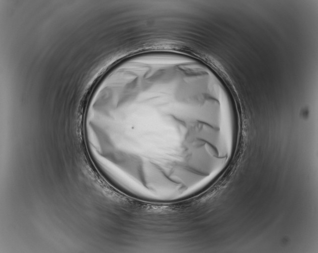 X0000116760835201001071153