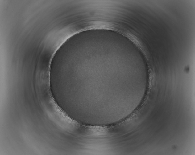 X0000116760836201001071153